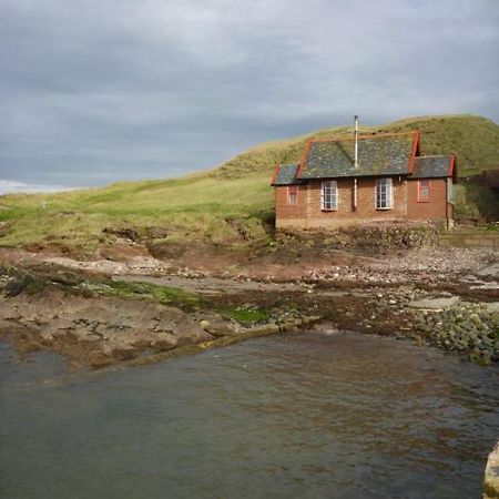 Southend  Summer Cottage المظهر الخارجي الصورة